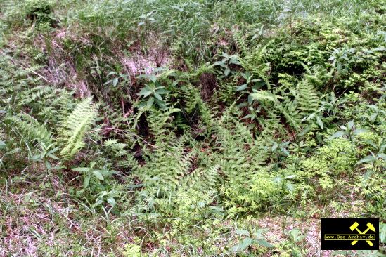 SDAG Wismut Schurf U3 bei Schacht 337 im Revier Johanngeorgenstadt, Erzgebirge, Sachsen - 21. Mai 2009 (3).jpg